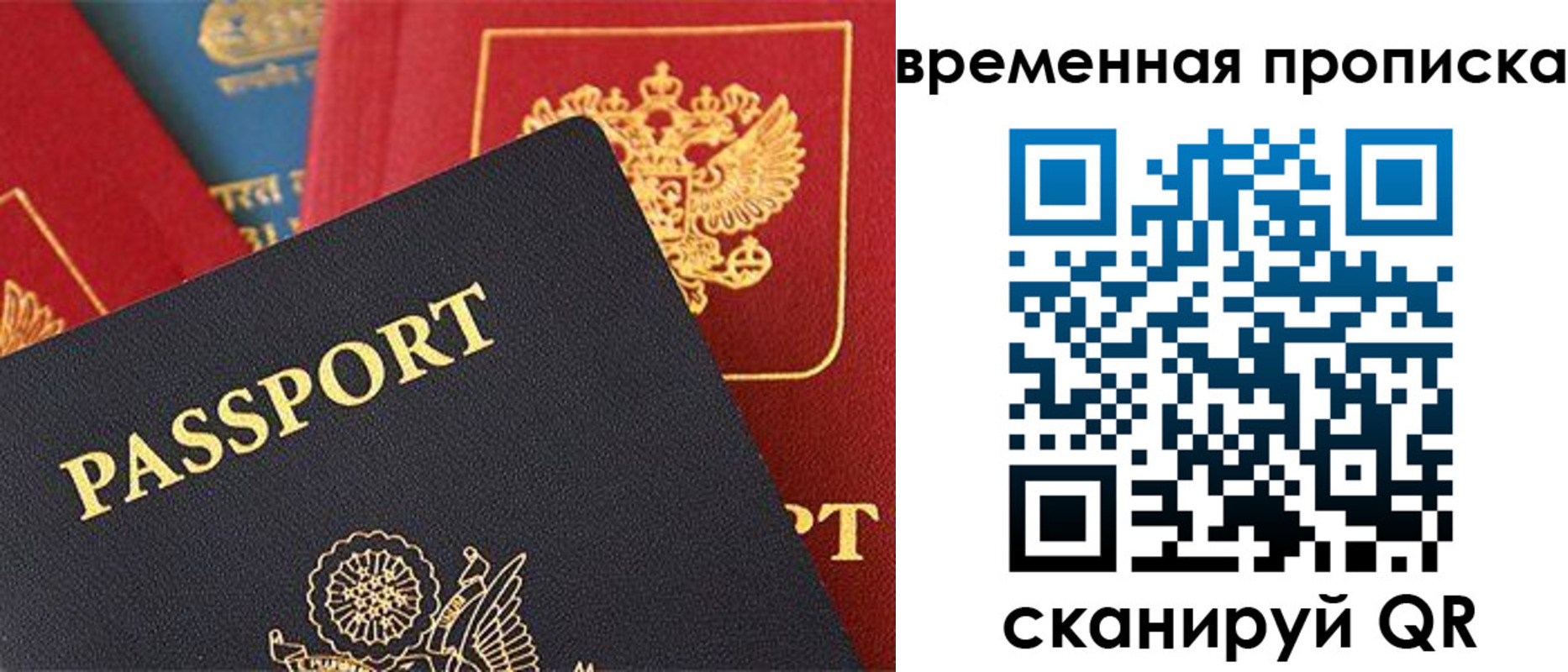 прописка для школы в Фокино